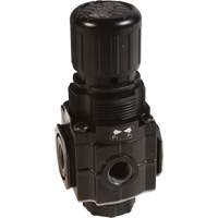 Series 1 Manifold Regulator, 1/4" NPT, 150 PSI Max. PSI, Standard Chandler Sales
