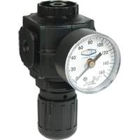 Series 1 Compact Regulator, 1/2" NPT, 150 PSI Max. PSI, Standard Chandler Sales