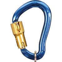 Nano-Lok Carabiner, Aluminum, 3600 lbs Capacity Chandler Sales