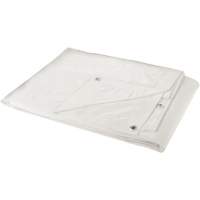 Tarp, Heavy-Duty, White, 30' x 20' x 6 mils Chandler Sales
