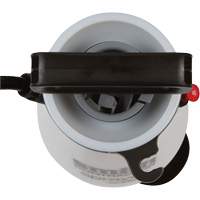Contractor Max Sprayer, 1 gal. (4.5 L), Polyethylene, 14" Wand Chandler Sales