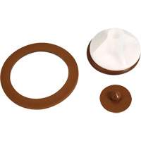 Trousse d'entretien pour pompe Chandler Sales