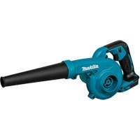 Souffleur / aspirateur sans fil (outil seulement) Chandler Sales