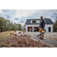 MAX* Brushless Handheld Blower (Tool Only), 20 V, 125 MPH Output, Battery Powered Chandler Sales