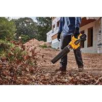 Flexvolt&reg; Brushless Handheld Axial Blower, 60 V, 125 MPH Output, Battery Powered Chandler Sales