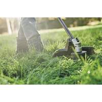 Max* Cordless Brushless Attachment-Capable String Trimmer, 17", Battery Powered, 60 V Chandler Sales
