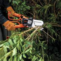 Alligator&reg; Lopper Chandler Sales