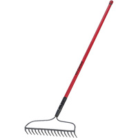 Bow Rake, Fibreglass Handle, 66" L, 16-4/5" Blade, 16 Tines Chandler Sales