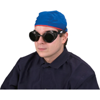 Lunettes &agrave; coque, Lentille 5,0, Anti-&eacute;gratignures, Ventilation Ferm&eacute; Chandler Sales