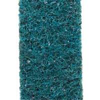 Courroie de conditionnement de surface Scotch-Brite Chandler Sales