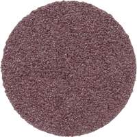 PSA Cloth Disc 348D, 20" Dia., 60 Grit, Aluminum Oxide Chandler Sales