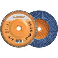 Flap Discs