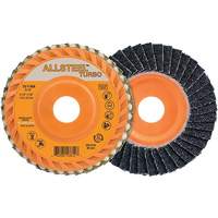 Flap Discs
