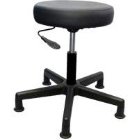 Tabouret de travail de s&eacute;rie 900, Stationnaire, Ajustable Hauteur, Capacit&eacute; 250 lb Chandler Sales