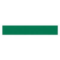 Write-On Magnetic Label, Magnetic, 600" L x 1" W Chandler Sales