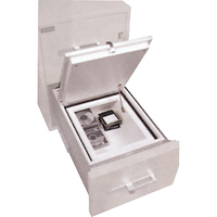 Coffres-forts protecteurs de donn&eacute;es M&eacute;dia Chandler Sales