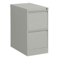 Vertical Filing Cabinet, Steel, 2 Drawers, 15-1/7" W x 25" D x 29" H, Grey Chandler Sales