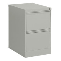 Vertical Filing Cabinet, Steel, 2 Drawers, 18-1/7" W x 25" D x 29" H, Grey Chandler Sales