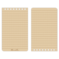 Carnet de notes de poche &agrave; spirale, Couverture souple, Havane, 100 Pages, 3" , 5"  Chandler Sales