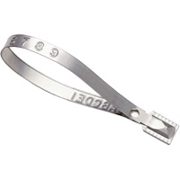 Guard Lock&reg; Seals, 8-3/8", Metal, Truck Seal Chandler Sales