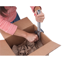 Carton Sizer Chandler Sales