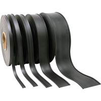 Card Holder, Magnetic, 600" L x 2" W Chandler Sales