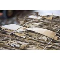 Baling Wire, Galvanized, 13-1/2' L, 13 ga. Chandler Sales