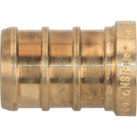 Capuchon de tuyau sans plomb, Tuyau, 1/2" dia., Laiton Chandler Sales