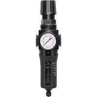 Filtre/r&eacute;gulateur drain manuel avec bol en m&eacute;tal Modulair 300, 1/4" NPT, 250 PSI, Capacit&eacute; de 5,1 oz liq. Chandler Sales