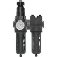 Filtre/d&eacute;tendeur & filtre coalescent Modulair 400 avec bol standard & drain manuel, 3/4" NPTF, 150 psi, Capacit&eacute; de 9,13 oz liq. Chandler Sales