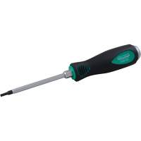 Tournevis Torx Chandler Sales