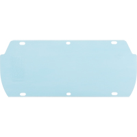 Visi&egrave;re Facetec en polycarbonate, Polycarbonate, Teinte Transparent Chandler Sales