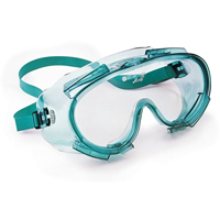 Safety Goggles