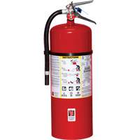 Extincteur d'incendie, ABC, Capacit&eacute; 20 lb Chandler Sales