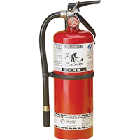 Extincteur d'incendie, ABC, Capacit&eacute; 5 lb Chandler Sales