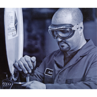 Lunettes de s&eacute;curit&eacute; &agrave; coques Uvex Flex Seal, Lentille 3,0, Antibu&eacute;e, Ventilation Indirecte Chandler Sales