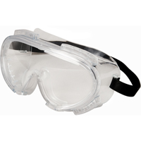Encompass Safety Goggles, Clear Lens, Anti-Fog, Indirect Vent Chandler Sales