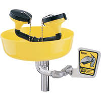Poste de douche oculaire, Installation Support pour tuyau d'approvisionnement, Bol Plastique Chandler Sales