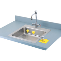 Poste de douche oculaire Swing-Away, Installation Montage sur comptoir Chandler Sales