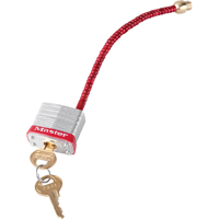 Switch Padlocks, Wall Switch Type Chandler Sales