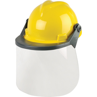 Head & Face Protection Systems Chandler Sales