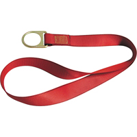 Sangles PointGuardpour raccord d'ancrage, Anneau en D, Usage Temporaire Chandler Sales