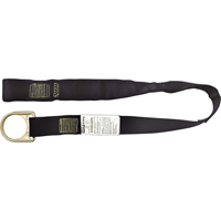 Sangles PointGuardpour raccord d'ancrage, Anneau en D, Usage Temporaire Chandler Sales