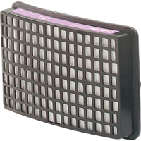 Speedglas Respiratory Protection-replacement Filters & Cartridges, P100 Filter, Pack of 2 Chandler Sales