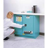 Armoires de s&eacute;curit&eacute; pour acides & produits corrosifs avec doublure ChemCor, 22 gal., 35" x 35" x 22" Chandler Sales