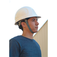 Chinstrap for ERB Hardhat Chandler Sales