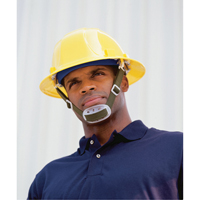 ERB Chinstrap for ERB Hardhat Chandler Sales