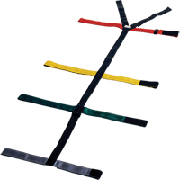 Quick Restraint System Chandler Sales