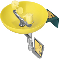 Eye/Face Wash Station, Wall-Mount Installation, Plastic Bowl Chandler Sales
