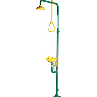 Safe-T-Zone&reg; Combination Shower & Eye/Face Wash Chandler Sales